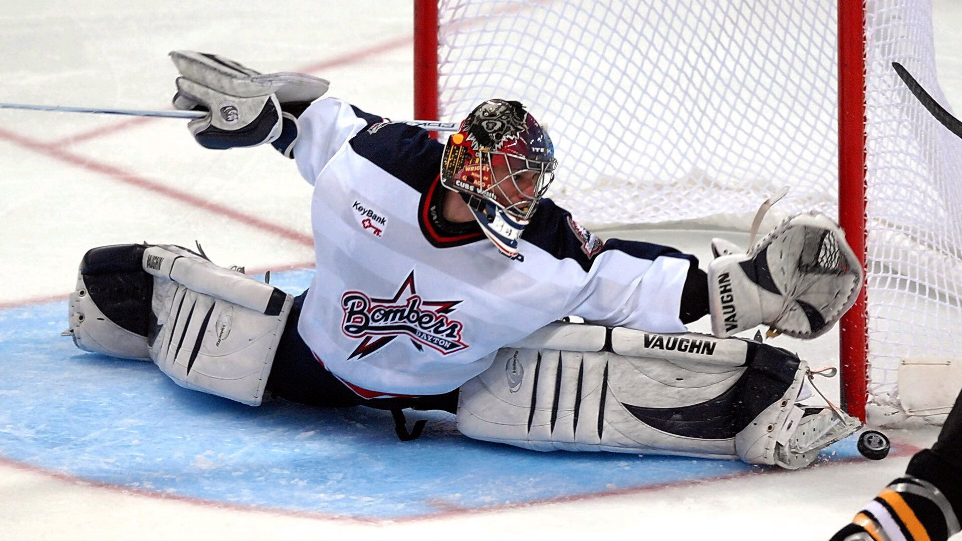 爱游戏app-“南非羚羊队的复兴之路：萨尔·巴赫的关键作用”